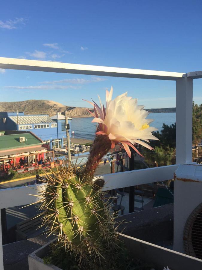 Hosteria Puerto Palos Puerto Pirámides Kültér fotó